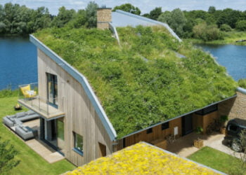 Nachhaltiges Leben in greifbarer Nähe: Nutzung von Gutscheinen für umweltfreundliche Hausmodernisierungen