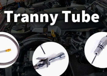 Tranny Tube: Alles, was Sie wissen müssen