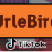 Was ist Urlebird? TikTok-Video-App für Influencer