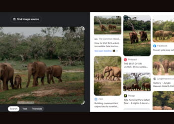 Erhaltung der biologischen Vielfalt: Die Rolle der umgekehrten Bildsuche bei der Prävention von Wildtierkriminalität