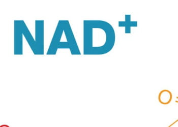 Die kraft von NAD+: Ein blick auf Purovitalis und seine vorteile